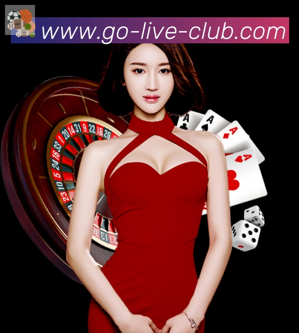 未来规划